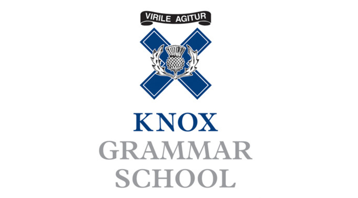  诺克斯文法学校 